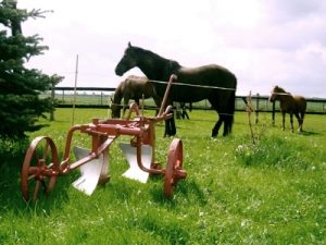 Ruine auf dem Grundst�ck