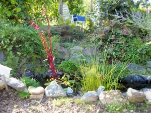 Garten vom Ferienhaus