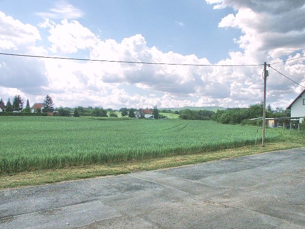 Kaffeeplantage in Minas Gerais von Brasilien