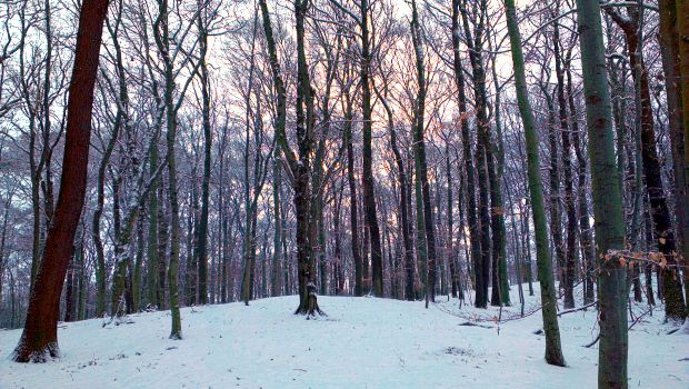 Strandvilla in Fortaleza Brasilien
