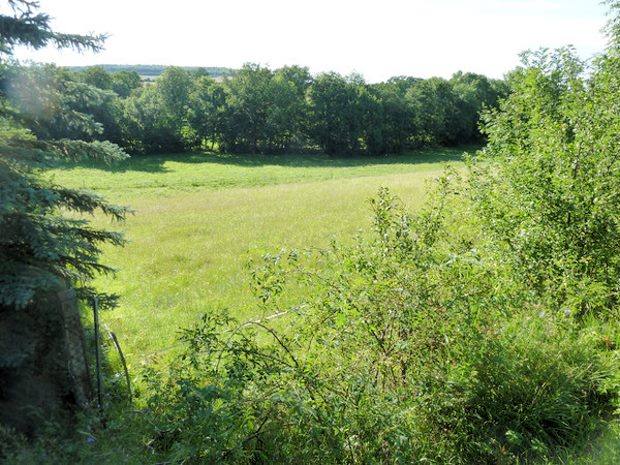 Villa mit Plantage in Sri Lanka Villa mit Plantage in Sri Lanka