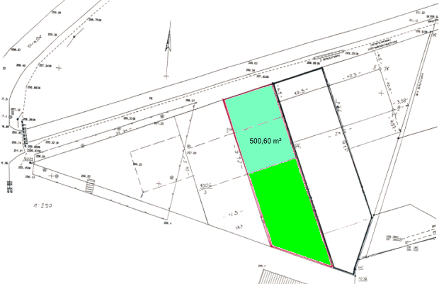 Grundst�ck vom Einfamilienhaus mit Olivenhain