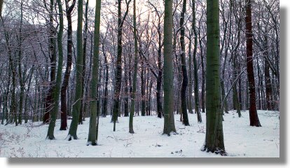 Tanger Marokko Grundst�ck Gewerbegrundst�ck zum Kaufen