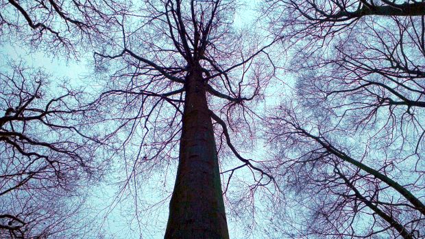 Stra�e am Bauernhof in Marokko