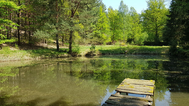 Gefl�gelaufzucht in Tansania