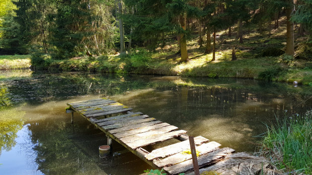 Gefl�gelfarm bei Bagamoyo in Tansania zum Kaufen