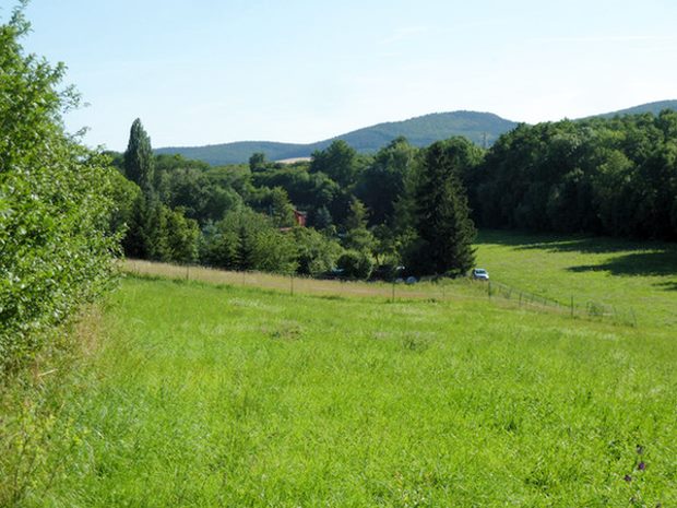 Einfahrt zum Grundst�ck des Wohnhauses