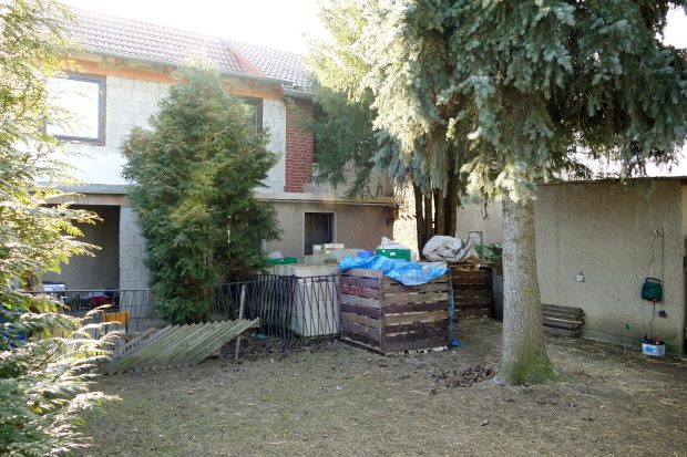 Weinberg vom Ferienhaus in Portugal