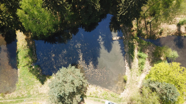 Bauland am Meer in Sri Lanka