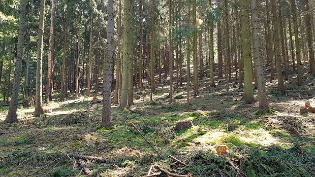 Baugrundst�ck am Meer der S�dprovinz Sri Lanka