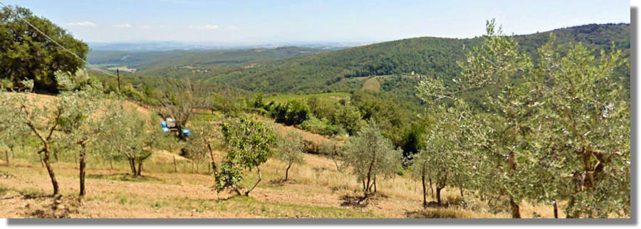 Agrarland koland in der Toskana Italien kaufen vom Immobilienmakler Ackerland