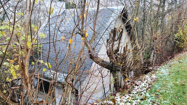 Ferienwohnung mit Blick auf den Lago Maggiore