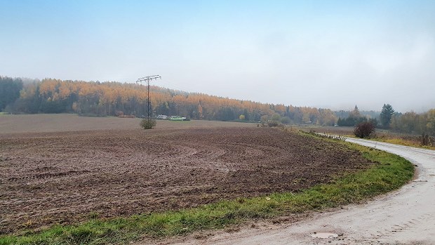 Grundstück für Landwirtschaft Agrarland in Ilmenau Ilm-Kreis zum Kaufen