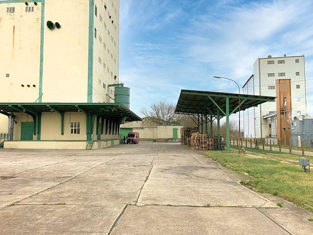 Terrasse der Wohnung