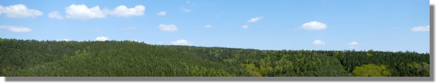 Wald in Thüringen zum Kaufen